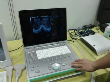 Fácil de pouco peso do varredor veterinário popular do ultrassom do portátil de 3D Digitas levar