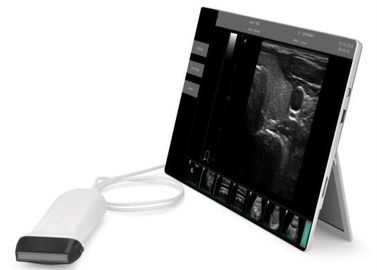 Uso apoiado do VETERINÁRIO da janela 10 do ultrassom do equipamento do bolso varredor portátil diagnóstico ultrassônico disponível
