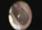3,5&quot; grupo OTORRINOLARINGOLÓGICO video completo do diagnóstico da pele de Nosal da garganta da orelha da unidade do exame de TFT LCD Digital da cor