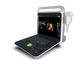 4 D varredor diagnóstico do ultrassom de Doppler da cor do diodo emissor de luz de 15 polegadas com o conector de 2 pontas de prova