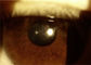 Câmera portátil do Ophthalmoscope da lâmpada Handheld da régua