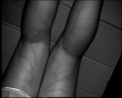 Tipo de alta resolução dispositivo da tabela 800X480 do localizador da veia com a tela 3.5Inch para o pé do braço de mão