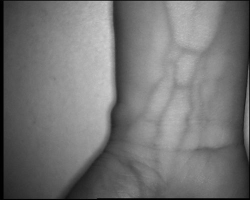 Tipo de alta resolução dispositivo da tabela 800X480 do localizador da veia com a tela 3.5Inch para o pé do braço de mão