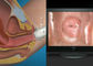Saída eletrônica do Colposcope AV/USB de Digitas do instrumento Gynecological video alto da definição