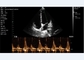 Scanner de ultrassom pessoal Linear+Cardiac Probe 2,2MHz Mobile DICOM Format