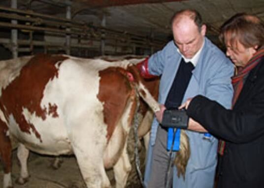 Escâner de ultra-som digital veterinário