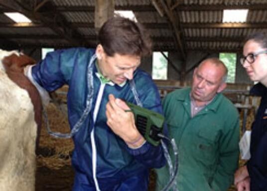 Mini-escâner veterinário de ultra-som